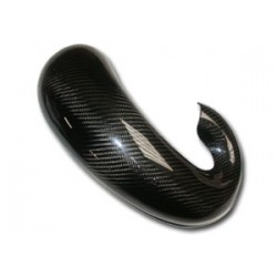 Protège Pot Carbone TM EN 250/300 AM 2002-2023