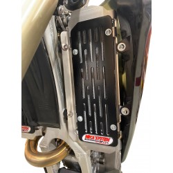 PROTECTIONS DE RADIATEURS INOX + GRILLE ALUMINIUM LAQUE NOIR - TRIUMPH TF 250 E